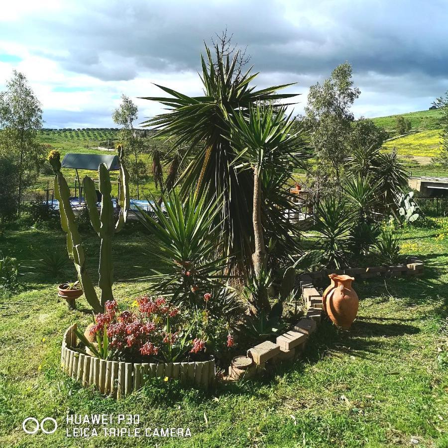 Sunset Valley Village Motta SantʼAnastasia Екстериор снимка