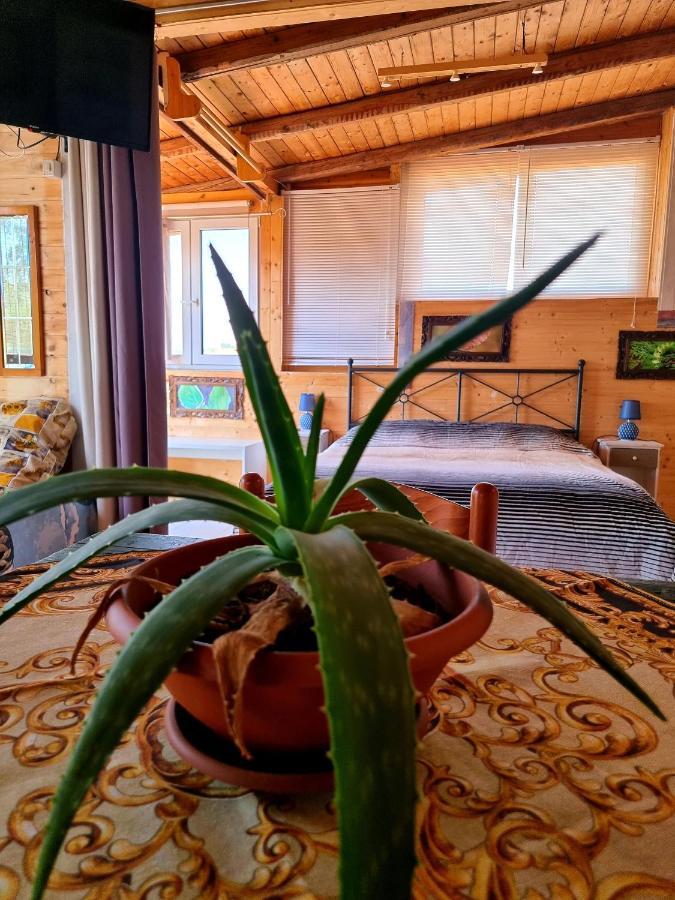 Sunset Valley Village Motta SantʼAnastasia Екстериор снимка