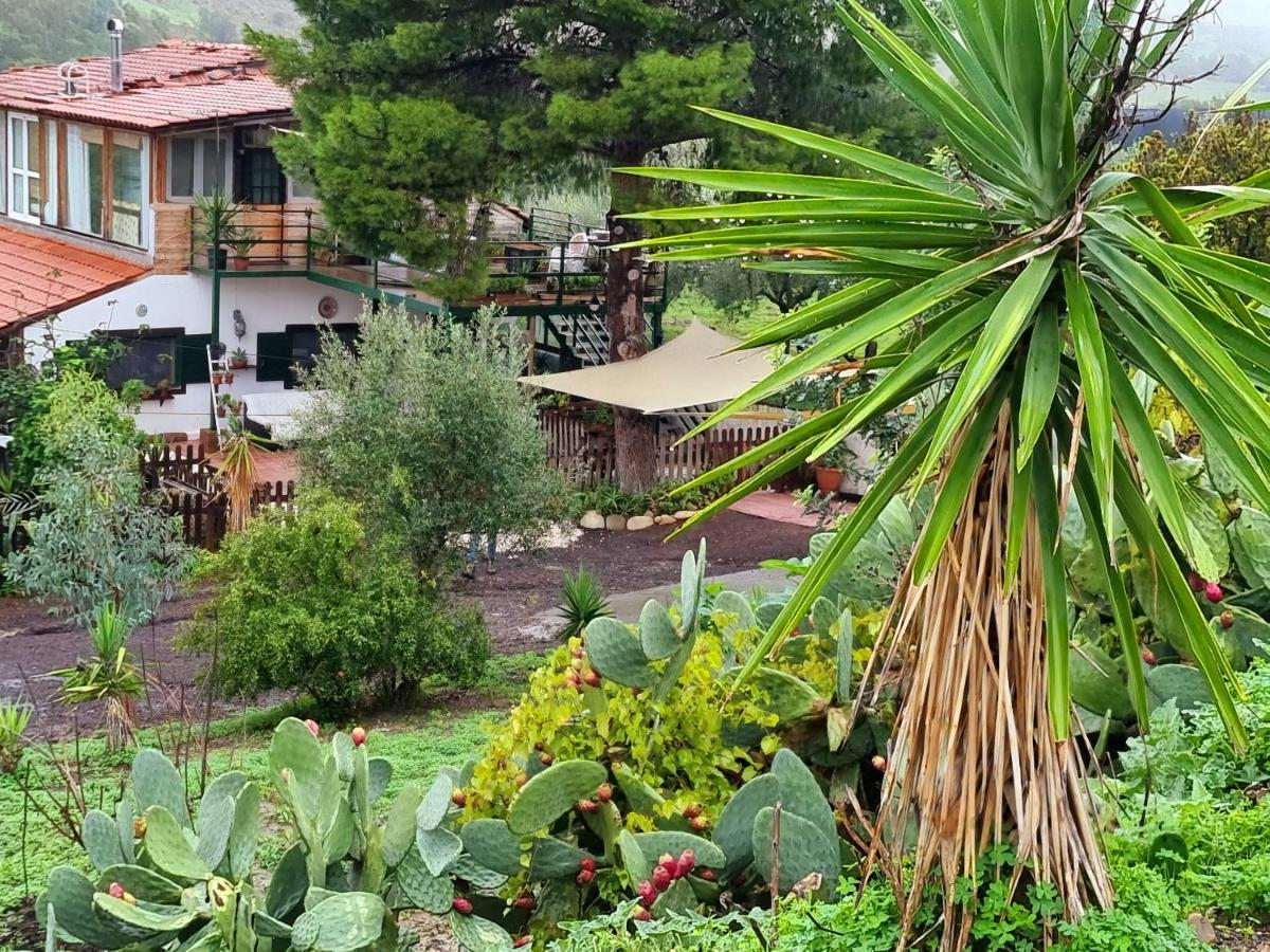 Sunset Valley Village Motta SantʼAnastasia Екстериор снимка